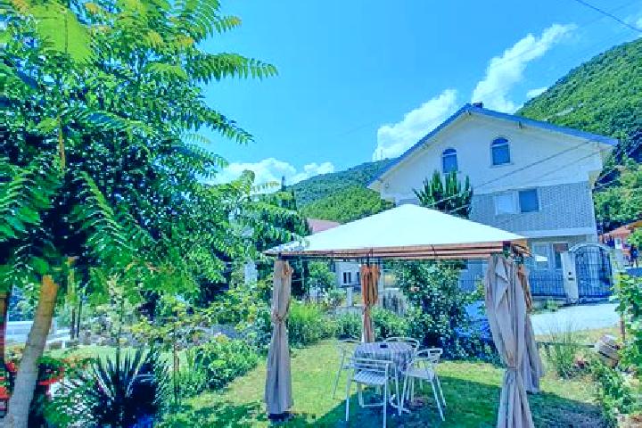 Violet, 29 — Escort in Dolno Konjari, North Macedonia