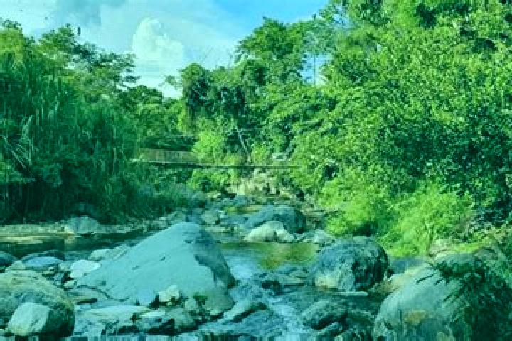 Violet, 29 — Escort in Nuevo Progreso, Guatemala