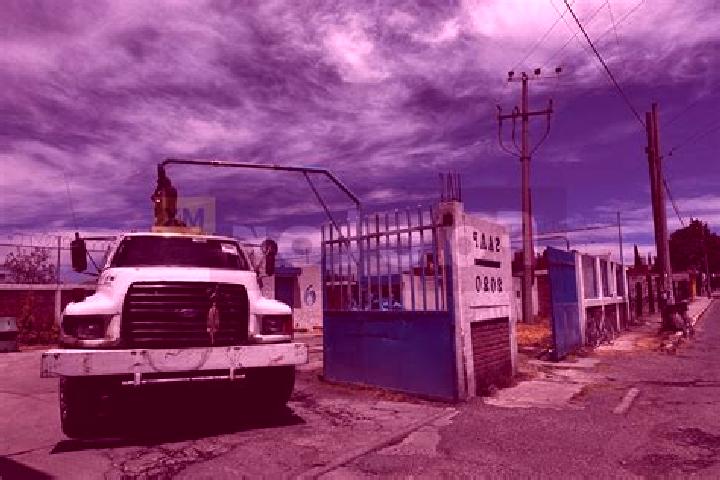Violet, 29 — Escort in Ojo de Agua Autopan, Mexico