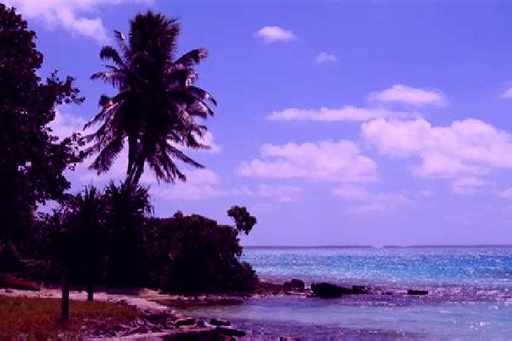 Violet, 30 — Escort in Betio Village, Kiribati