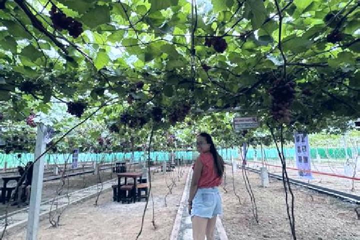 Violet, 30 — Escort in Laguitas, Philippines