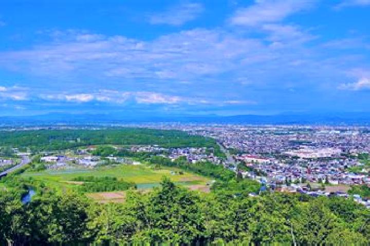 Violet, 30 — Escort in Pippu, Japan