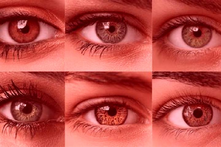 Violet, 31, a chestnut hazel-eyed middle eastern companion based in Helin. Offering Roleplay, Duos, Massage. Available for incall and outcall, day and evenin...