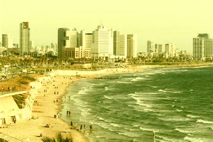 Violet, 31 — Escort in Daliyya, Israel