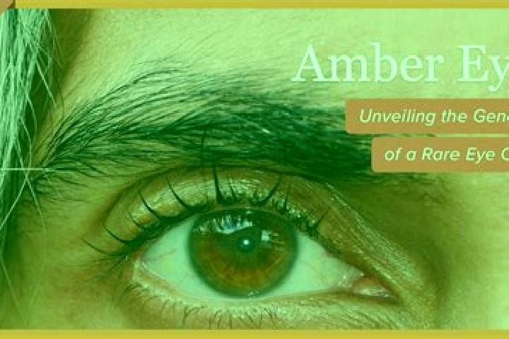 Violet, 32, a black amber-eyed ebony companion based in Vernaison. Offering CIM, Striptease, Tantra, Couples. Available for incall and outcall, overnight boo...