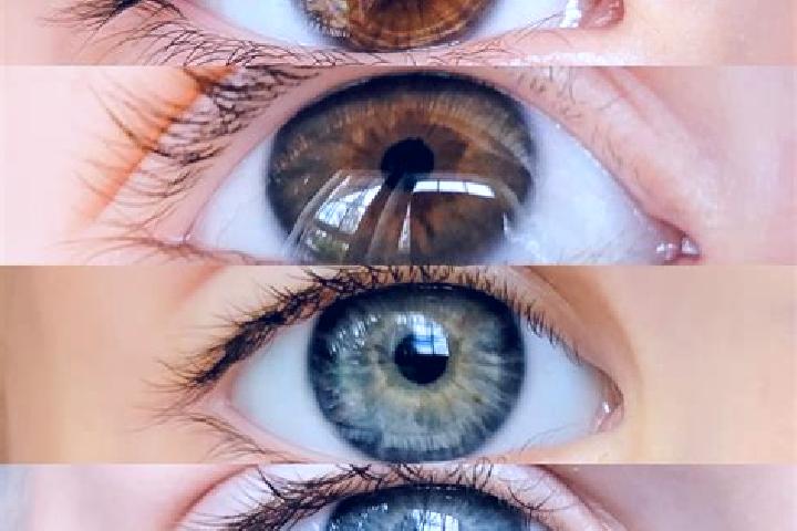 Violet, 32, a chestnut dark-eyed middle eastern companion based in Pagimana. Offering Striptease, CIM, Domination. Available for incall and outcall, day and ...