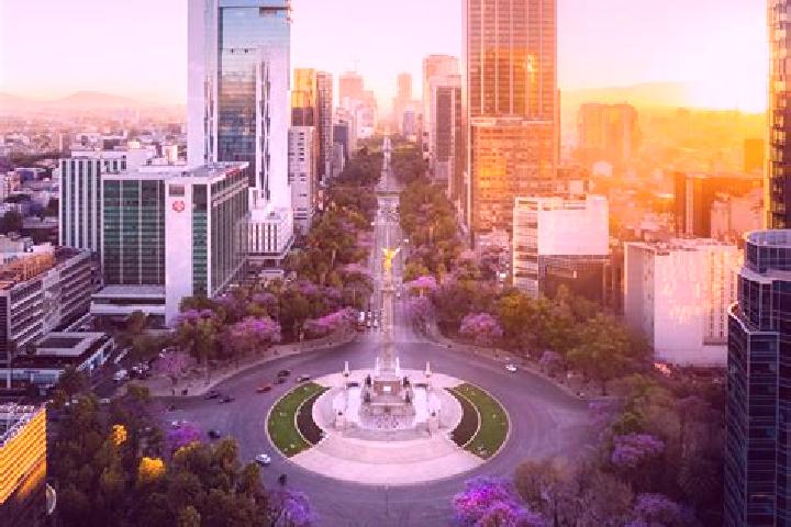 Violet, 32 — Escort in Nuevo Miramar, Mexico