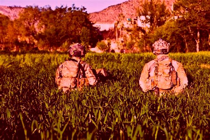 Violet, 32 — Escort in Tsamkani, Afghanistan