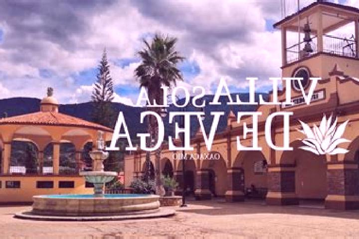 Violet, 32 — Escort in Villa Sola de Vega, Mexico