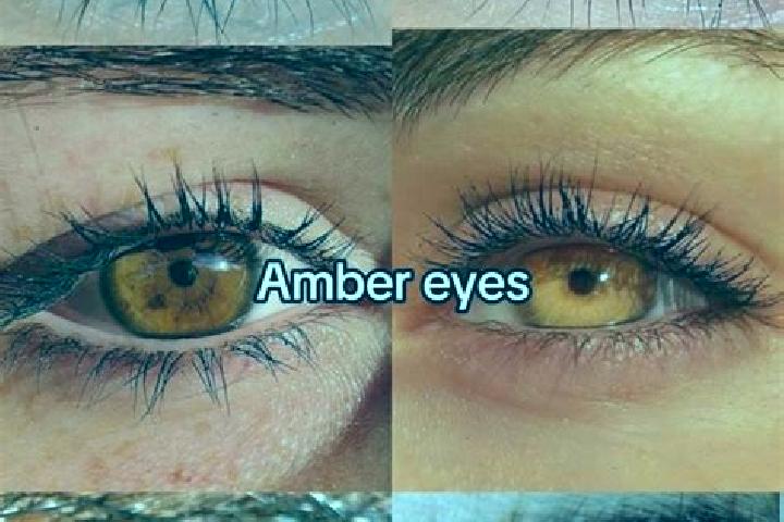 Violet, 33, a chestnut amber-eyed middle eastern companion based in Vollerwiek. Offering OWO, Roleplay, GFE. Available for incall and outcall, day and evenin...