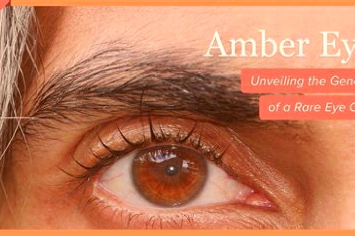 Violet, 33, a red amber-eyed caribbean companion based in Indian Lake. Offering Massage, BDSM, A-Level. Available for incall and outcall, overnight bookings ...