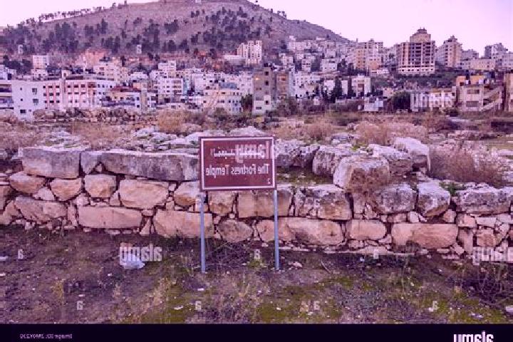 Violet, 33 — Escort in Balatah, Palestine