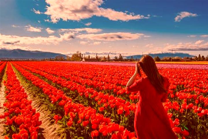Violet, 33 — Escort in Old Washington, United States