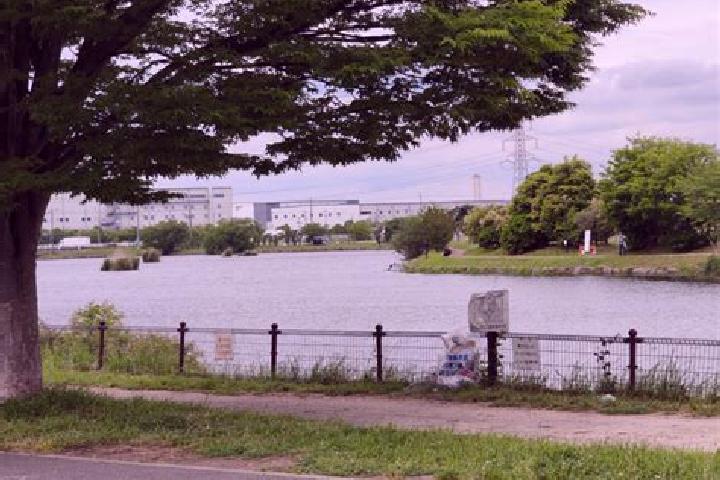 Violet, 33 — Escort in Shiraoka, Japan