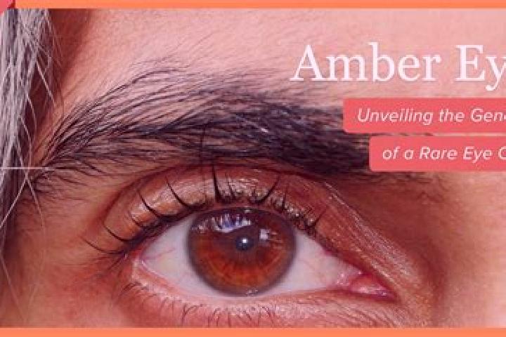 Violet, 34, a black amber-eyed ebony companion based in Givonne. Offering Party Girl, Fetish, Girlfriend Experience. Available for incall and outcall, day an...