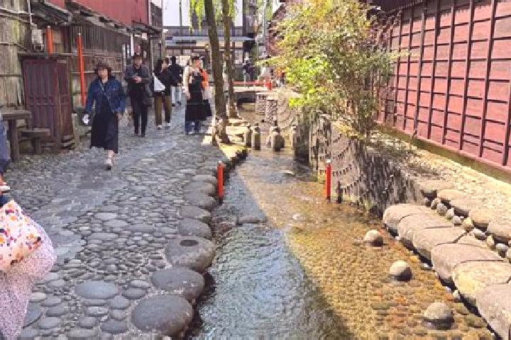 Violet, 34 — Escort in Hachimantai, Japan