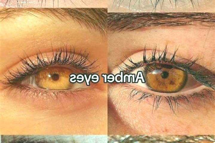 Violet, 35, a chestnut amber-eyed ebony companion based in Wind Point. Offering CIM, Couples, Massage, OWO. Available for incall and outcall, day and evening...