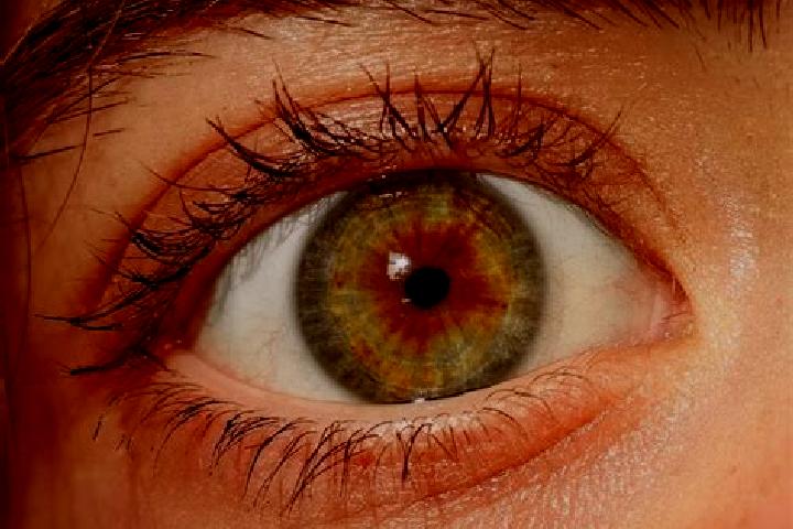 Violet, 35, a red hazel-eyed asian companion based in Nunbaki. Offering Couples, Prostate Massage, Tantra. Available for incall and outcall, day and evening ...