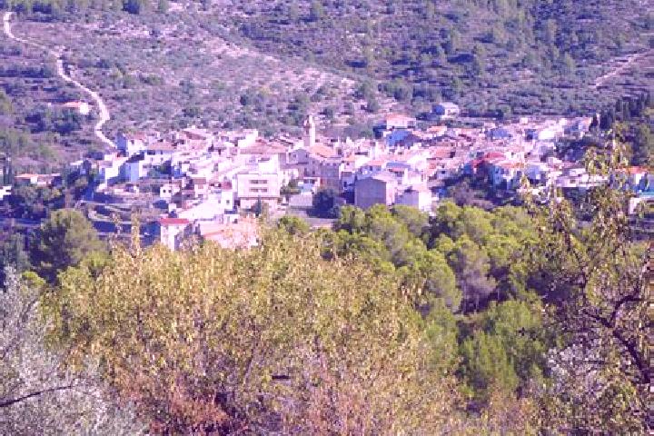 Violet, 35 — Escort in Castell de Castells, Spain