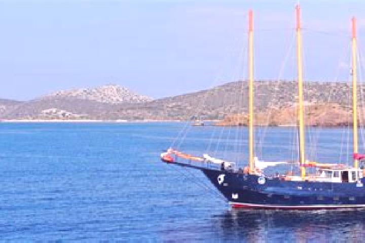 Violet, 35 — Escort in Delvinaki, Greece