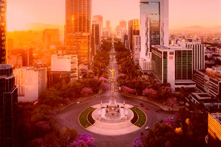 Violet, 36 — Escort in El Zapotillo, Mexico