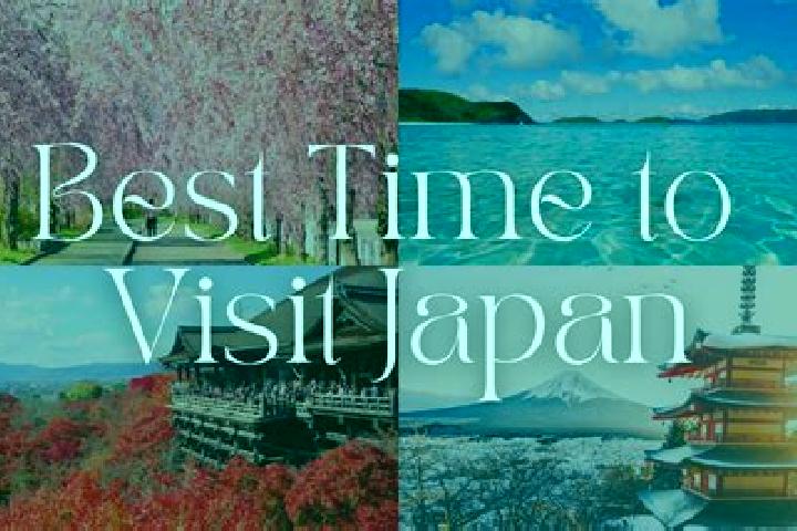 Violet, 36 — Escort in Kashima-shi, Japan