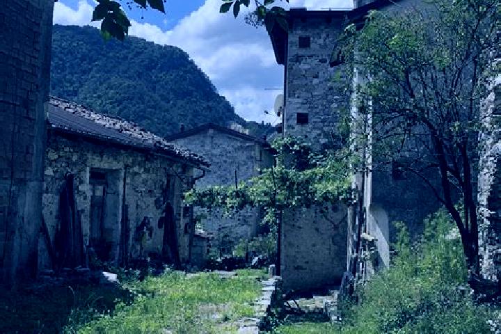 Violet, 36 — Escort in Moggio Udinese, Italy
