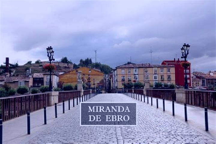 Violet, 36 — Escort in Pradilla de Ebro, Spain