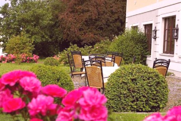 Violet, 36 — Escort in Sankt Ulrich bei Steyr, Austria