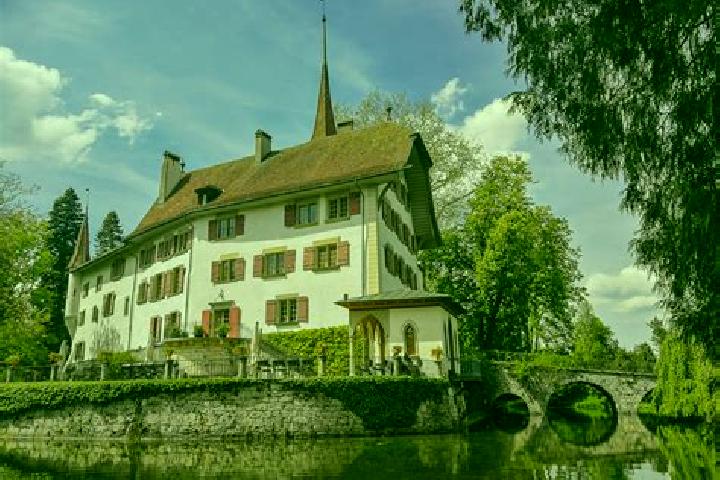 Violet, 36 — Escort in Utzenstorf, Switzerland