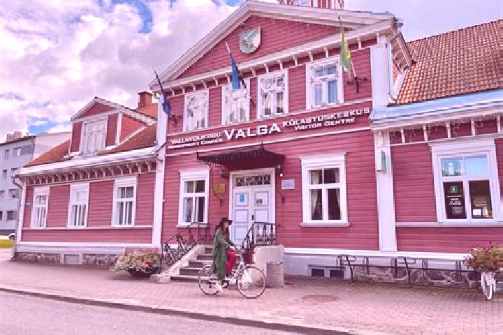 Violet, 36 — Escort in Valga, Estonia