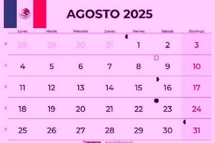 Violet, 37 — Escort in Colonia 12 de Agosto, Mexico