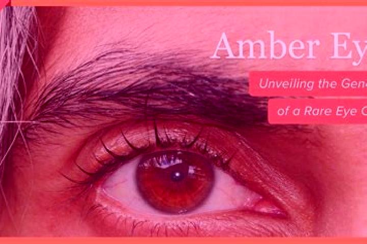 Violet, 38, a black amber-eyed middle eastern companion based in Ain Sefra. Offering Massage, Deep French Kissing, Party Girl, Fetish. Available for incall a...