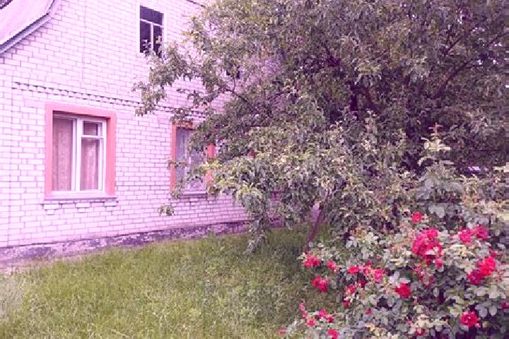 Violet, 38 — Escort in Dobrovelychkivka, Ukraine