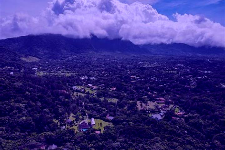 Violet, 38 — Escort in El Valle de La Union, Panama