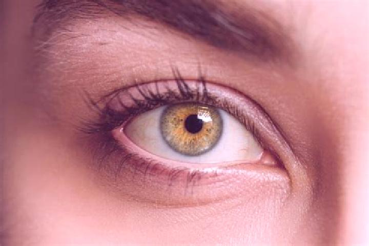 Violet, 39, a chestnut hazel-eyed mixed companion based in Banjar Taman. Offering Striptease, Dinner Date, Deep French Kissing, OWO, GFE. Available for incal...