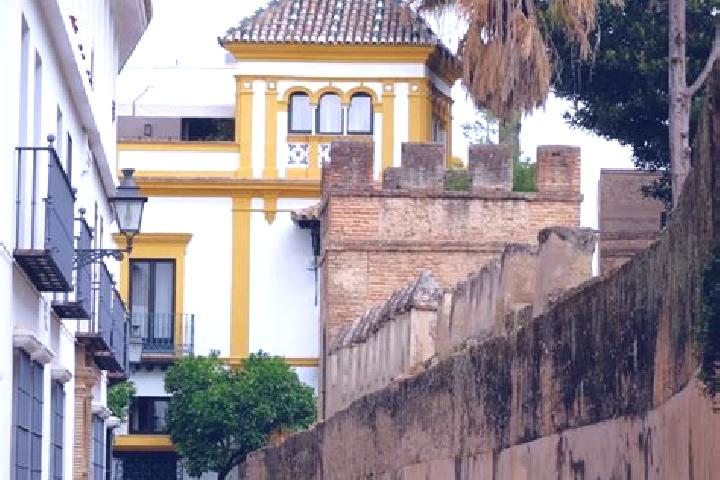 Violet, 39 — Escort in Barrio Santa Cruz, Mexico