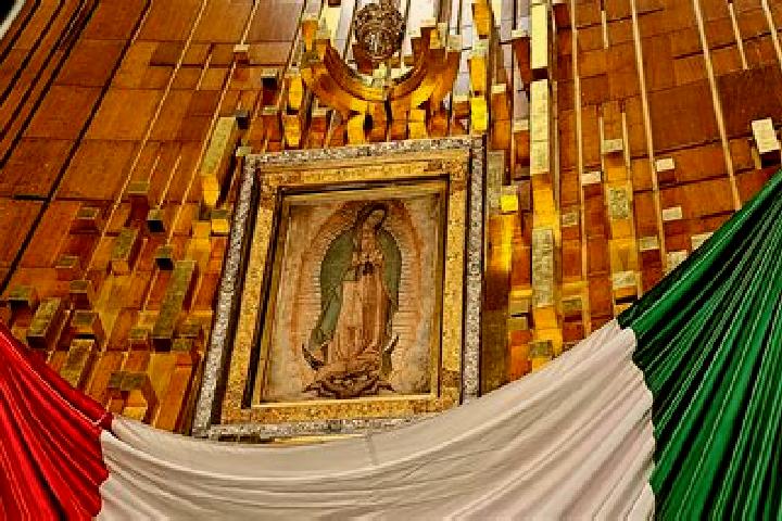 Violet, 39 — Escort in Guadalupe de Paso Blanco, Mexico