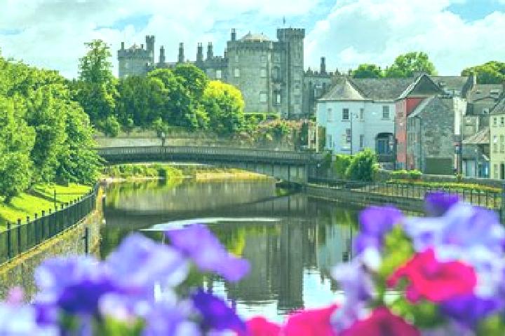 Violet, 39 — Escort in Kilmanagh, United States