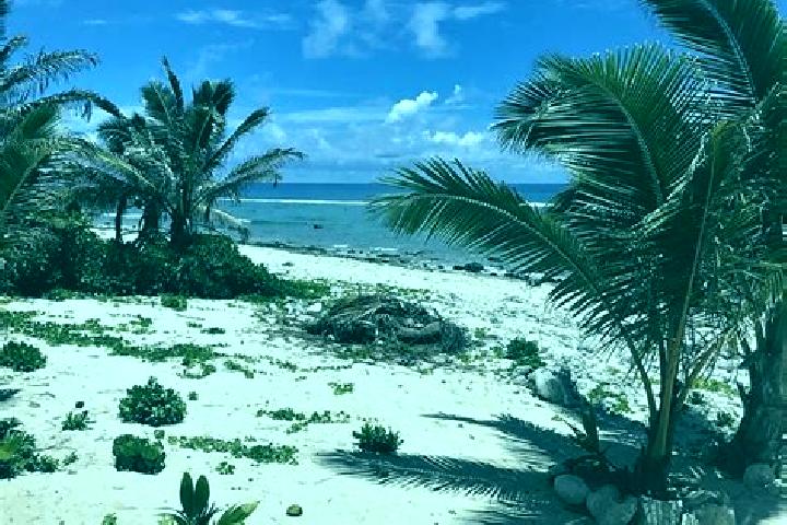 Violet, 39 — Escort in Matavera, Cook Islands