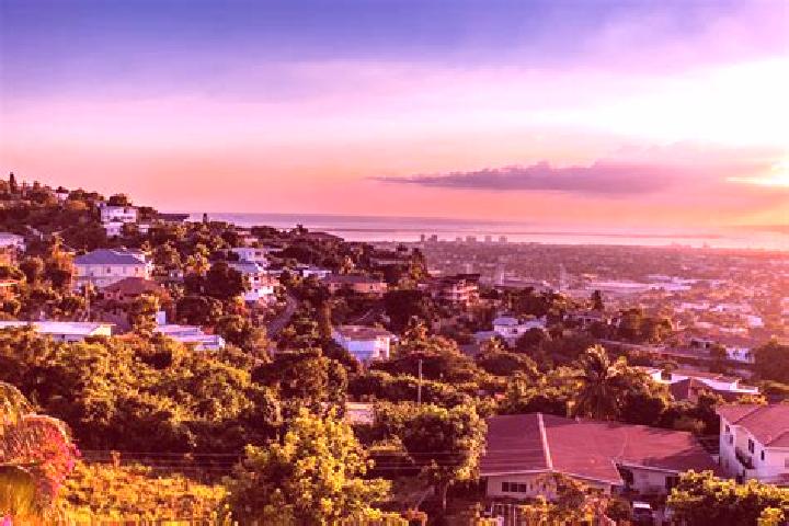 Violet, 39 — Escort in Penwood, Jamaica