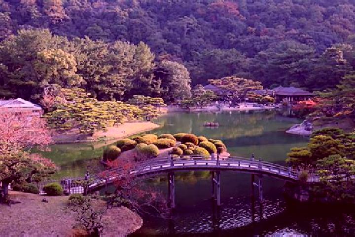 Violet, 39 — Escort in Setouchi, Japan