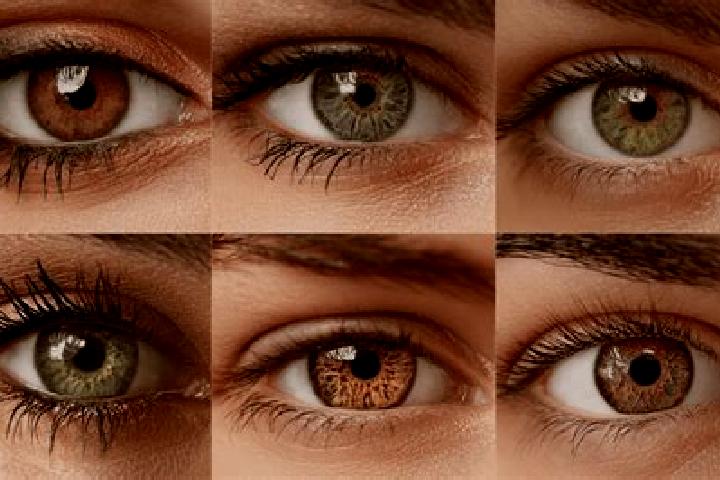 Willow, 20, a red hazel-eyed caribbean companion based in Westchase. Offering Overnight, Roleplay, Couples, BDSM, GFE. Available for incall and outcall, over...