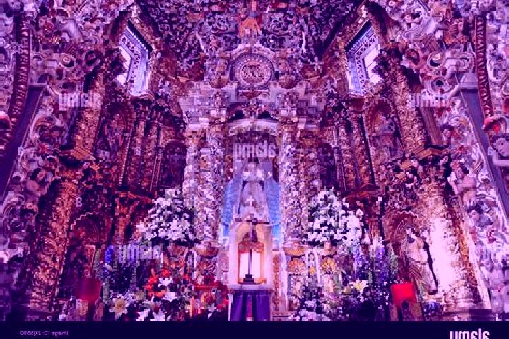 Willow, 20 — Escort in El Llano Santa Maria, Mexico