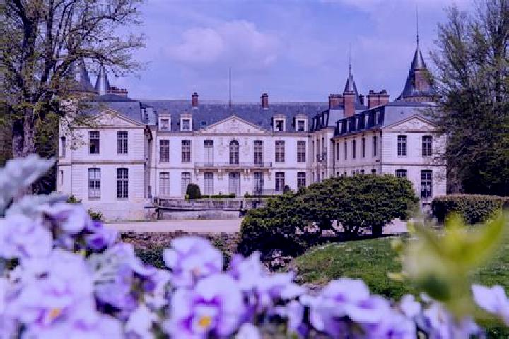 Willow, 20 — Escort in Ermenonville, France