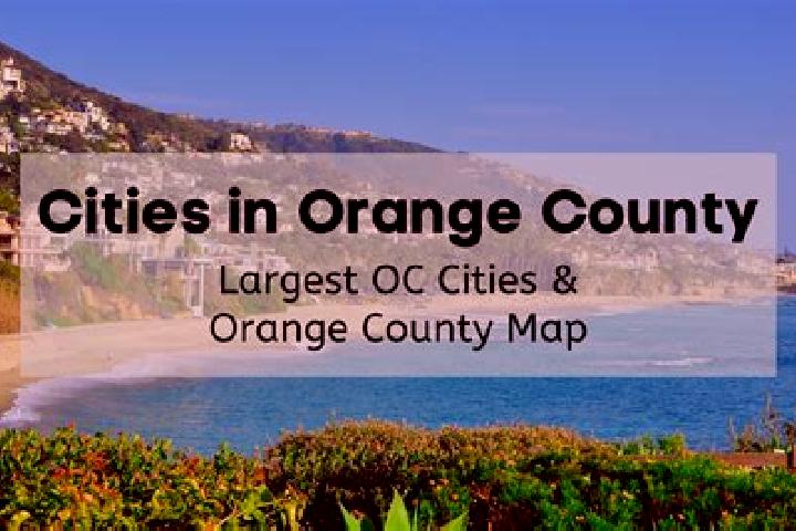 Willow, 20 — Escort in Orange, United States
