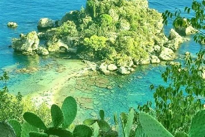 Willow, 20 — Escort in Sicily Island, United States