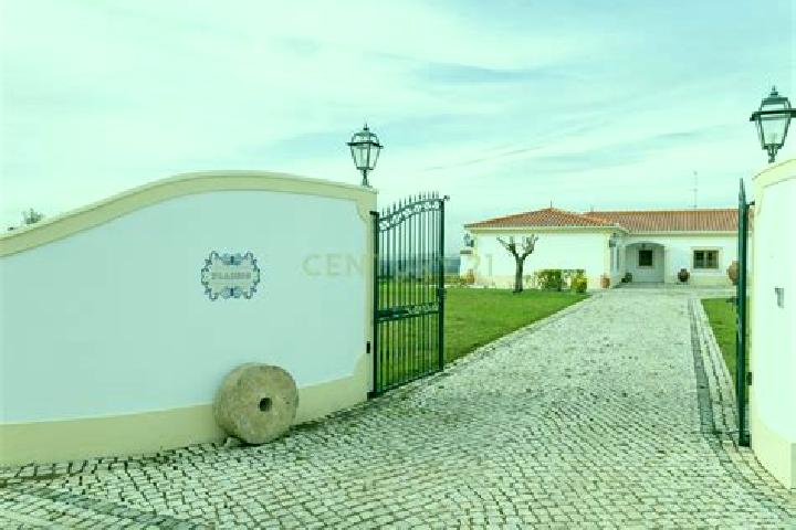 Willow, 21 — Escort in Moita dos Ferreiros, Portugal