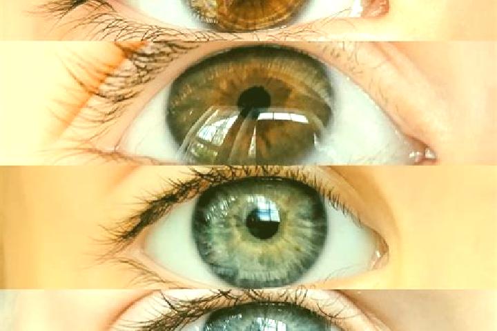 Willow, 22, a chestnut green-eyed mixed companion based in Nontou. Offering Roleplay, Erotic Massage, Domination, OWO, Duos. Available for incall and outcall...