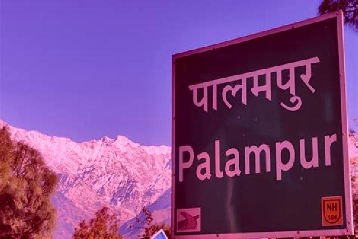 Willow, 23 — Escort in Palampur, India